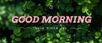 绿色英文文艺清新早安问候公众号首图