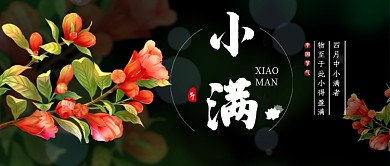 节气小满新媒体配图