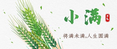 简约创意小满传统节气公众号首图