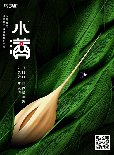 大气小满二十四节气海报