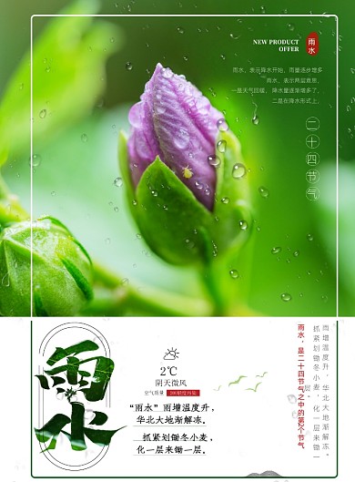时尚雨水节气印刷海报