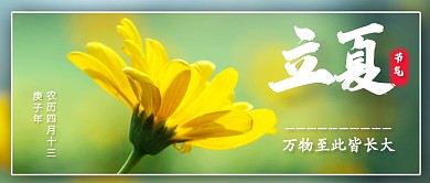 简约立夏传统节气公众号首图