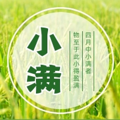 小满节气绿色清新公众号次图