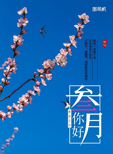 清新春天你好三月地产海报