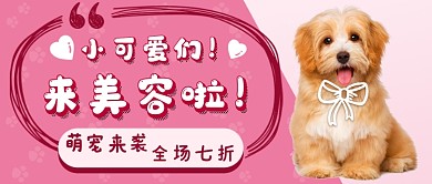 宠物美容新媒体首图