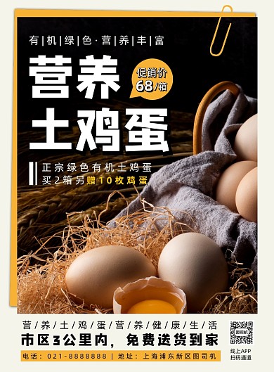 时尚简约营养土鸡蛋促销海报