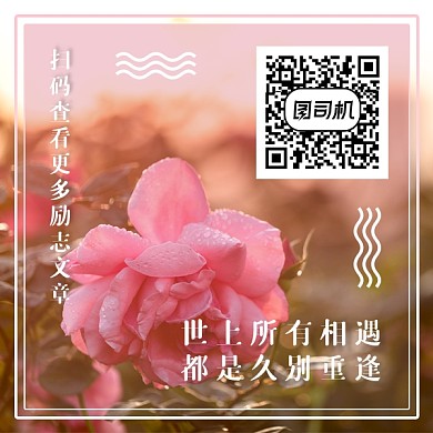 文艺清新励志新媒体二维码