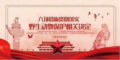 野生动物保护法展板