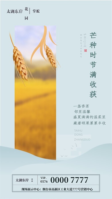 芒种节气时尚海报
