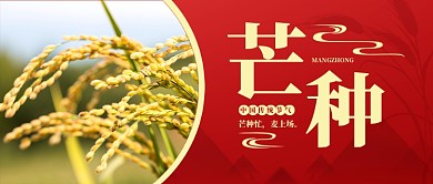 节气芒种红色简约新媒体配图