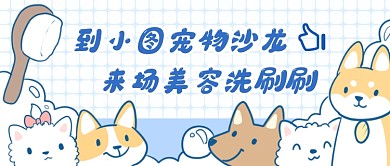 宠物美容宣传首图