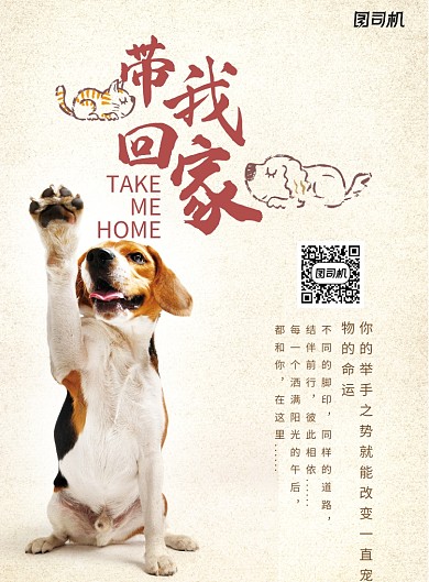 简洁明了的宠物领养公益海报