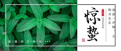 惊蛰节气公众号首图