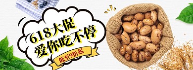 618坚果大促海报banner模板