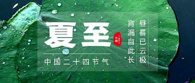二十四节气夏至绿色简约公众号首图