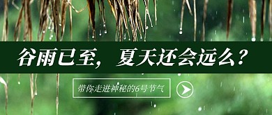 绿色简约节气谷雨公众号首图