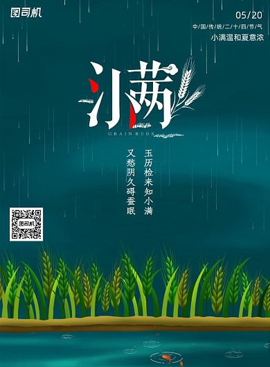 简约传统节日小满海报