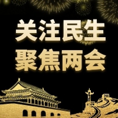 关注民生聚焦两会大气简约公众号次图