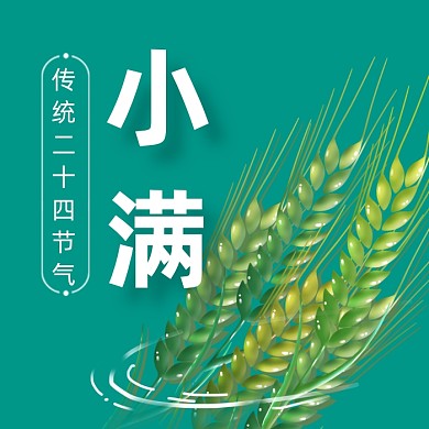 小满传统节气绿色简约公众号次图