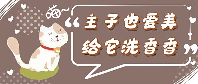 宠物美容宣传首图