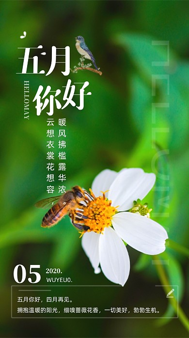 五月你好摄影图清新海报