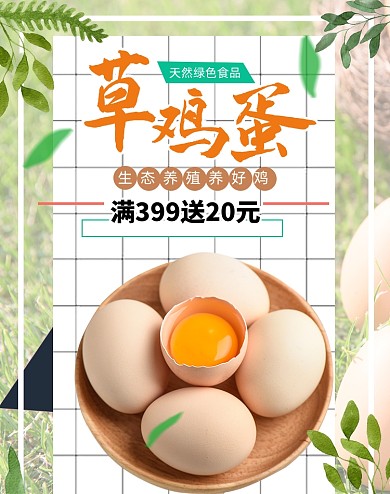 生态草鸡蛋天然鸡蛋海报