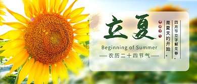 简约向日葵二十节气立夏公众号首图