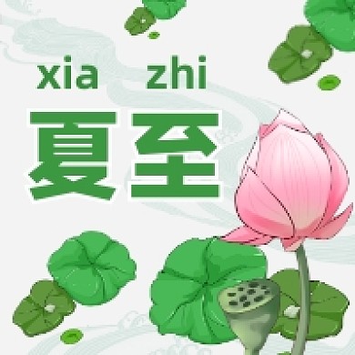 夏至节气中国风荷花公众号次图