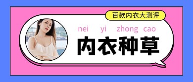 蓝色简约时尚内衣种草公众号首图