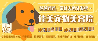 宠物美容猫狗护理限时优惠
