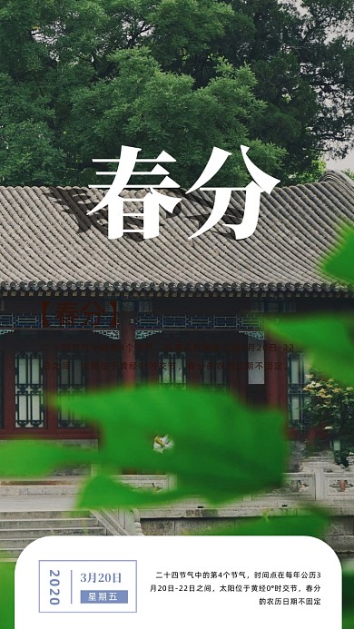 简约春分手机海报