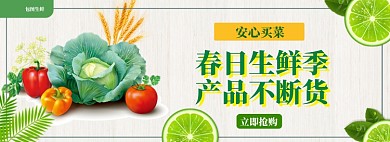 水果促销模版banner
