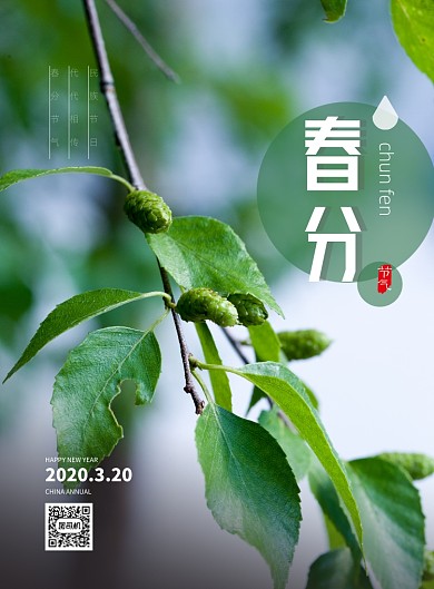 春分节气印刷海报