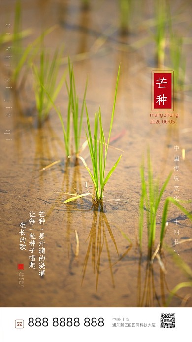 芒种节气海报摄影图