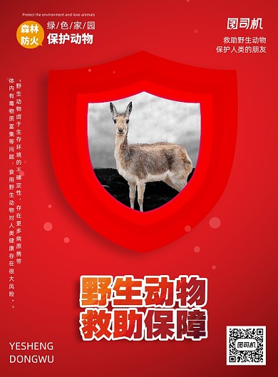 红色野生动物救助宣传海报