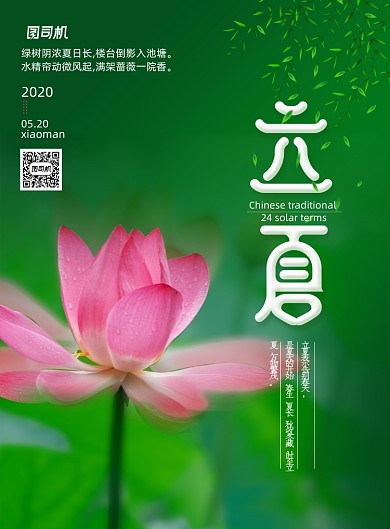 简洁荷花立夏节气海报