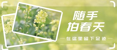 随手拍春天公众号首图