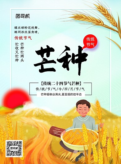 手绘插画二十四节气芒种海报