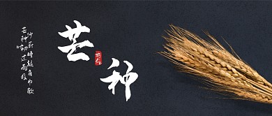 芒种传统节日高端大气水墨公众号首图