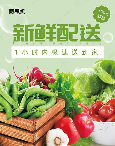 新鲜蔬果极速配送促销海报