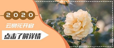 春日线上云赏花首图