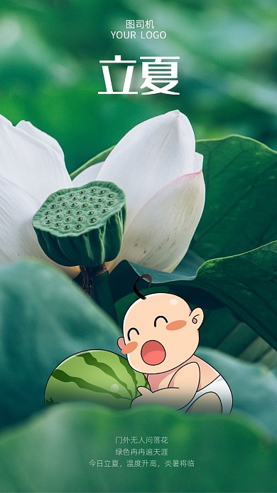 立夏节气手机海报