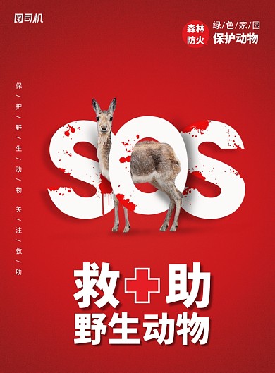 野生动物救助宣传海报