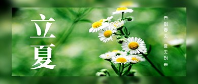 绿色简约节日立夏新媒体配图