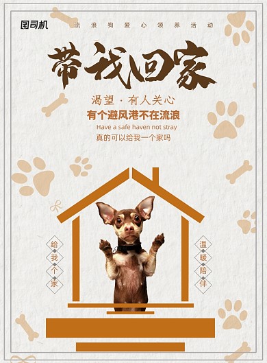 带我回家公益活动海报