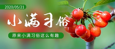小满节气习俗公众号首图