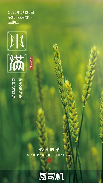 清新麦子小满节气启动页