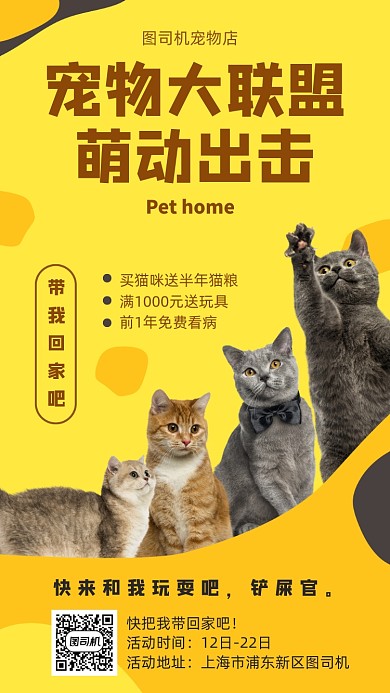 猫咪宠物店宣传海报