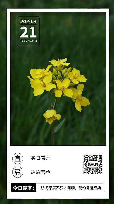 三月你好手机海报