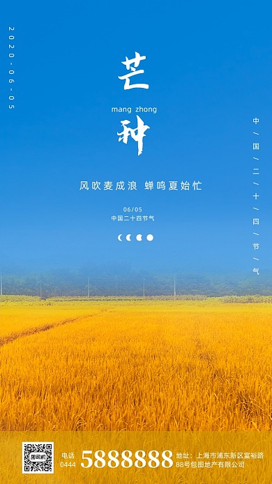 稻田芒种摄影海报